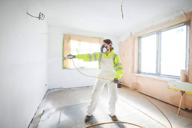 Best Basement Mold Removal  in Ashley, OH