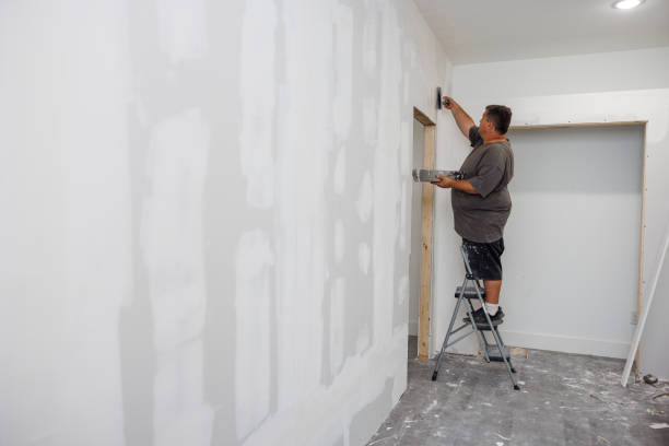 Best Residential Mold Inspection & Testing  in Ashley, OH