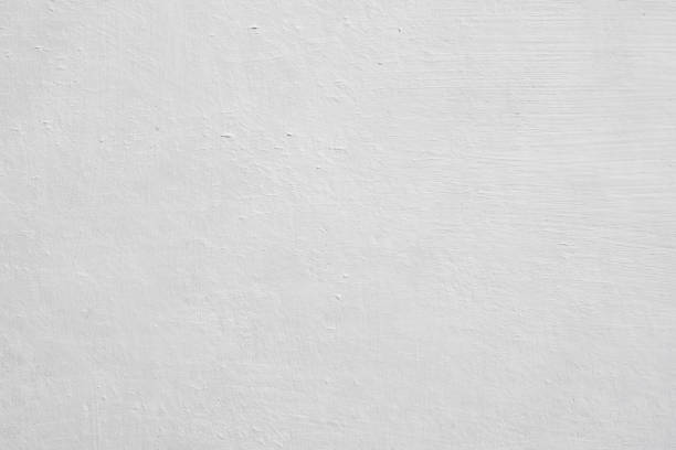 Best Mold Odor Removal Services  in Ashley, OH