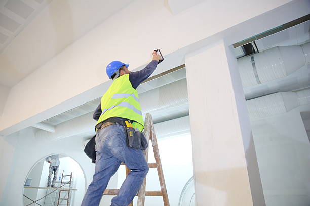 Best Mold Remediation for Rental Properties  in Ashley, OH